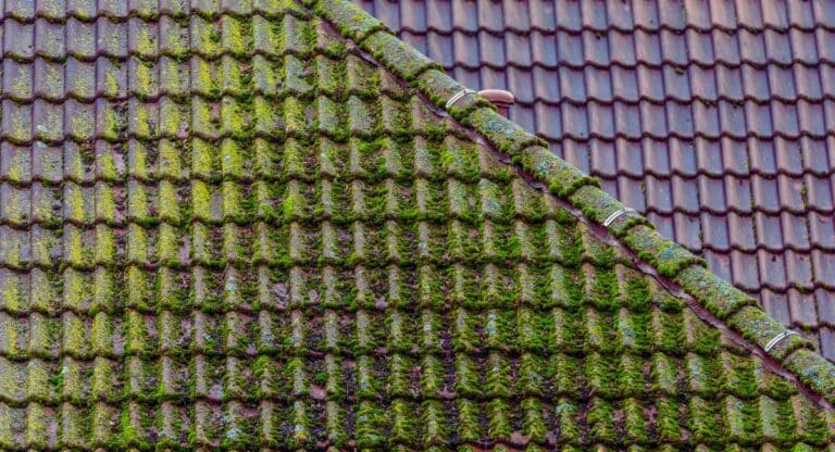 Hydrofuge de toiture : Quel prix et quels avantages pour votre maison ?