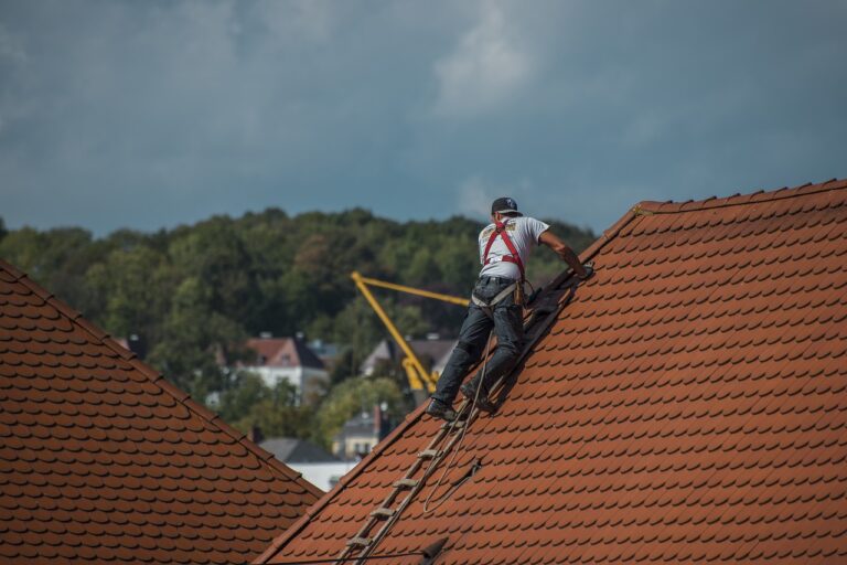 Nettoyage de toiture à La Rochelle : en quoi consistent les travaux ?