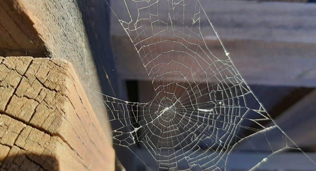 Cette astuce simple permet de se débarrasser une fois pour toutes des ...