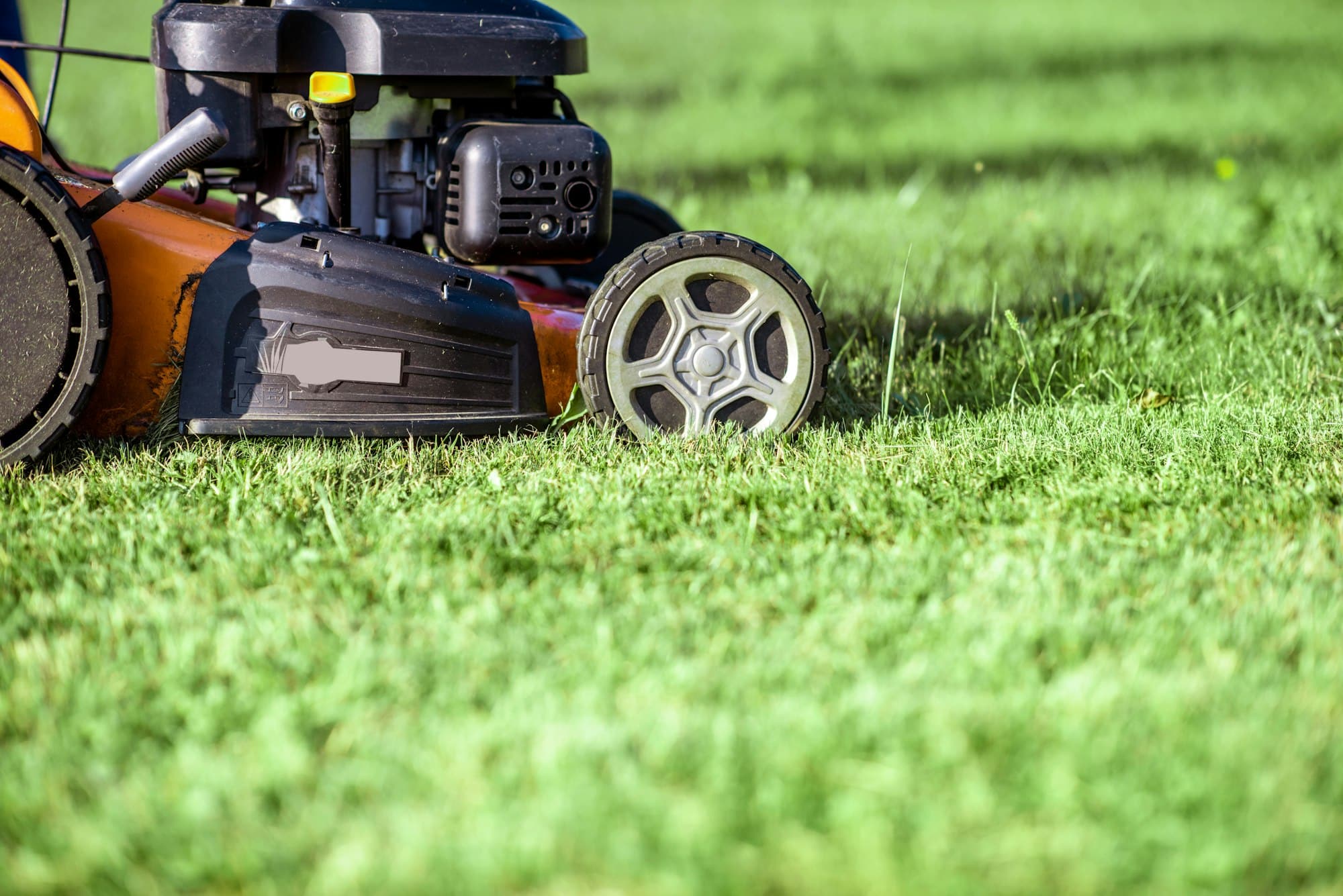 Lawn mower cutting grass