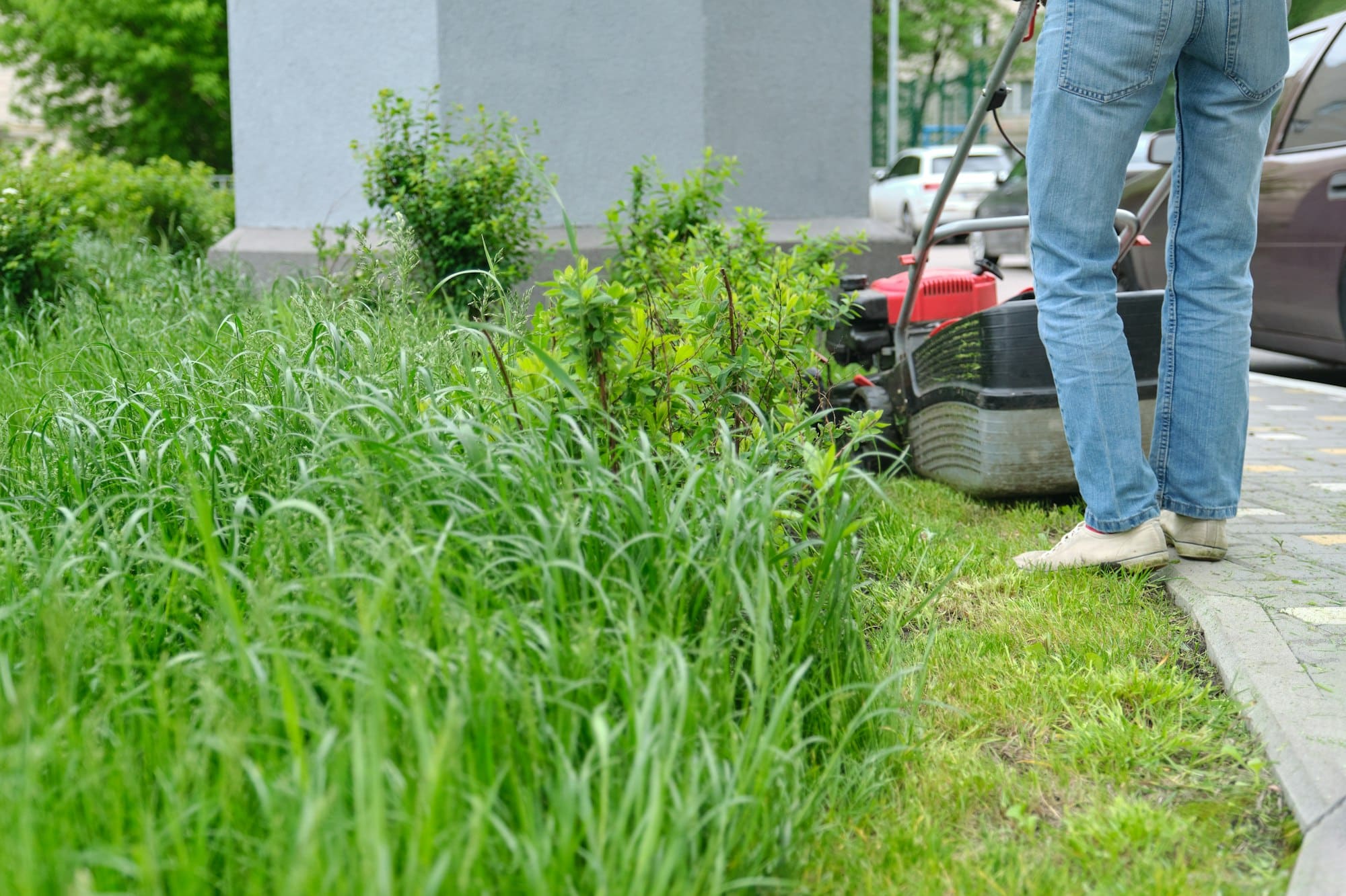 Working lawn mower on green lawn with trimmed grass