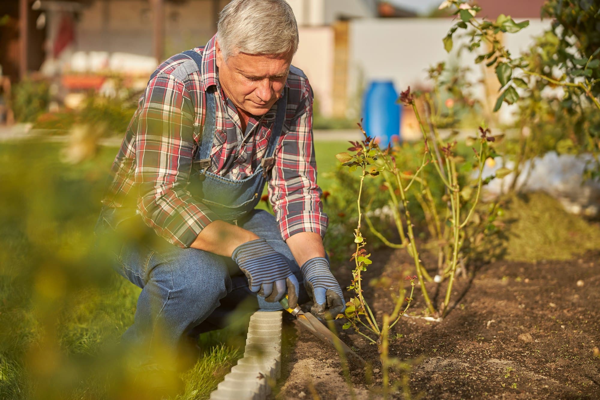 Aged man doing gardening on a sunny day