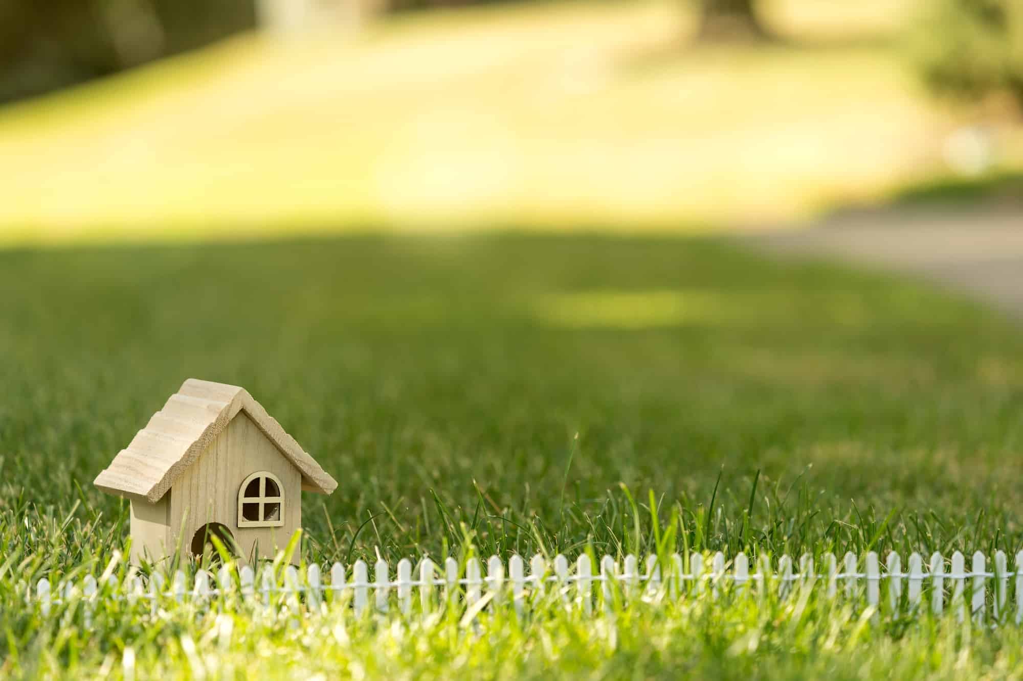 Little house on grass in sun light