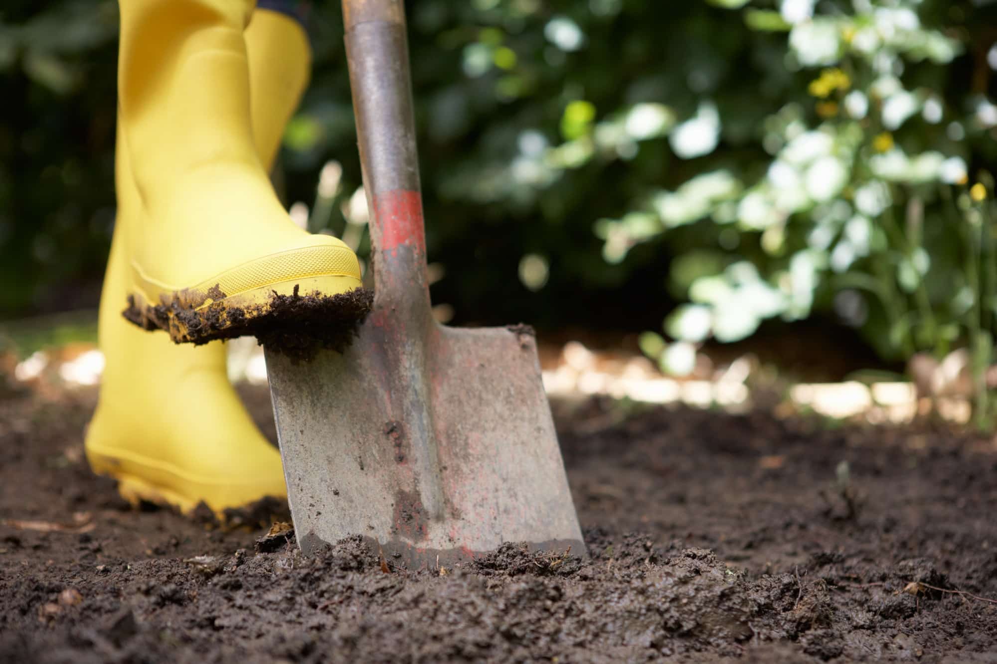 Person digging in garden