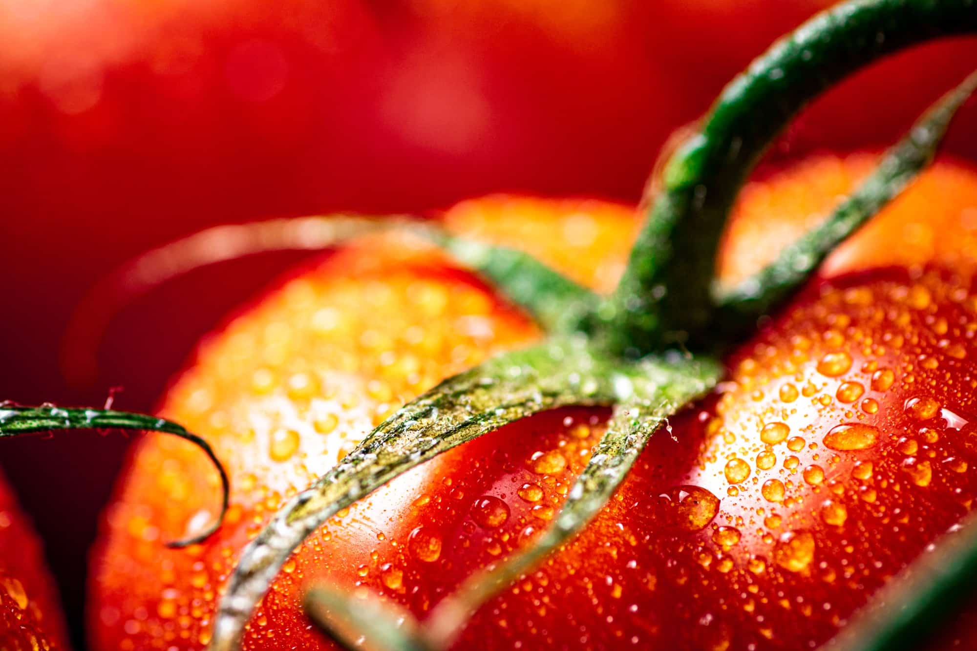 Red ripe tomato with drops of water.