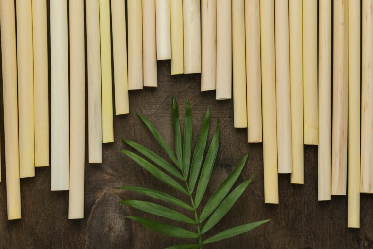 Bâtir sans détruire : le bois composite pour vos extérieurs