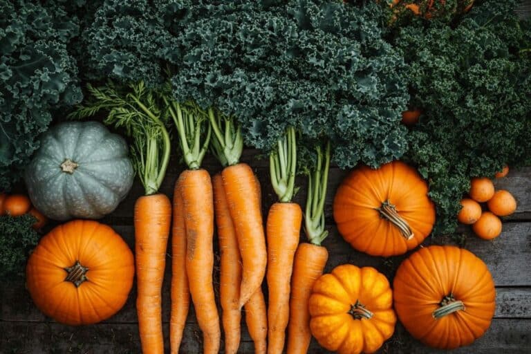 Semis de fin août : légumes d'automne à planter maintenant