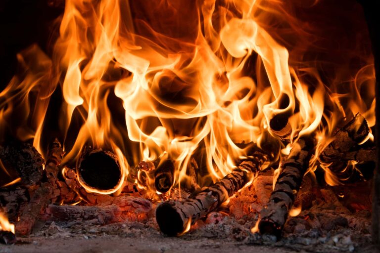 Chauffage au bois : Cette essence de bois vous chauffe plus longtemps et à moindre coût.